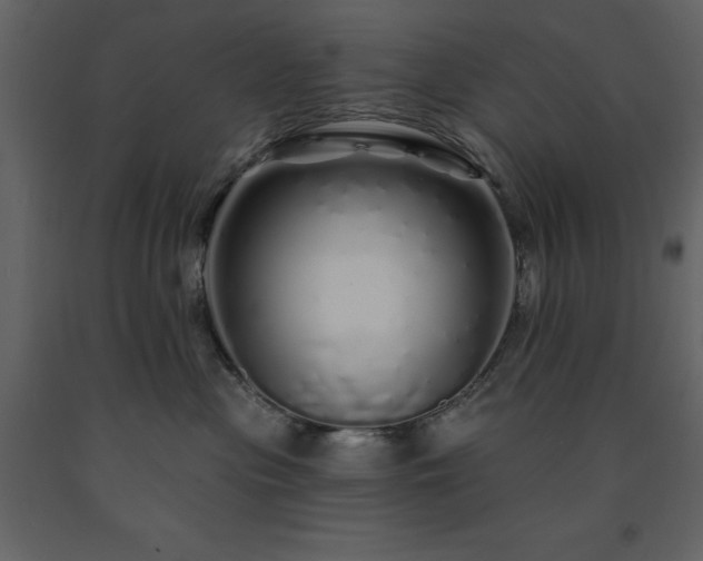 X0000091530477200708241716