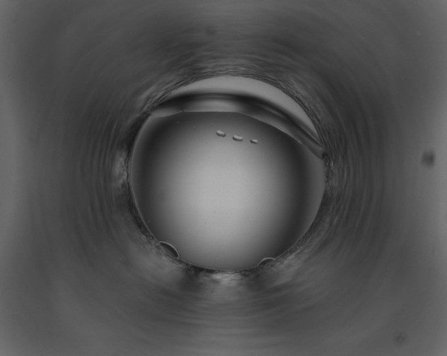 X0000091530478200708241716