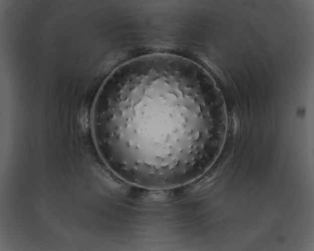 X0000091530479200708241716