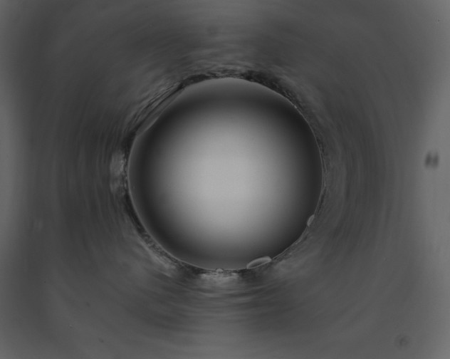 X0000091530480200708241716