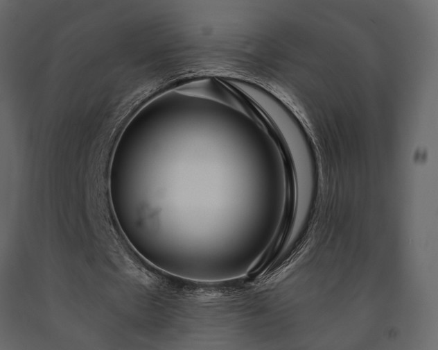 X0000091530481200708241715