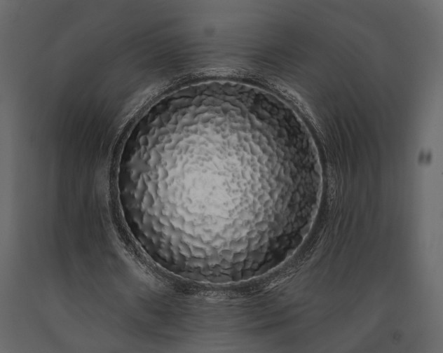 X0000091530482200708241715