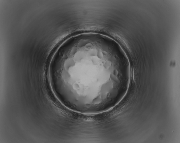 X0000091530483200708241715