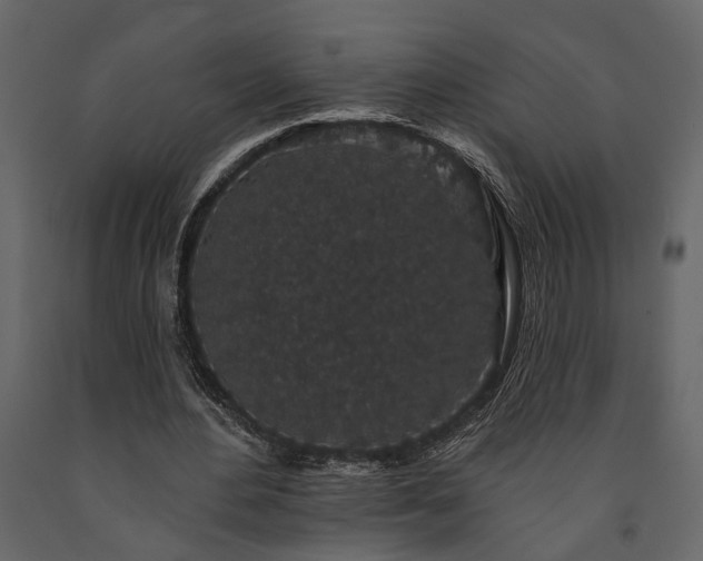 X0000091530484200708241715