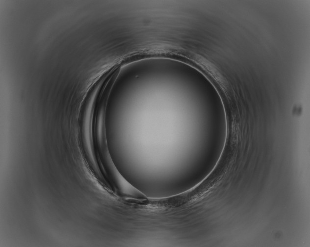 X0000091530485200708241715