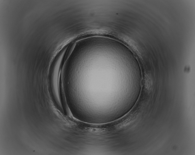 X0000091530486200708241715