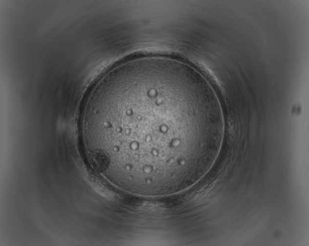 X0000091530487200708241715