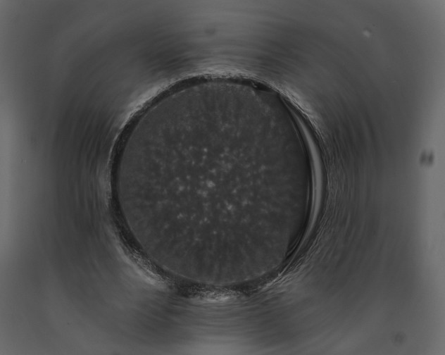 X0000091530488200708241715