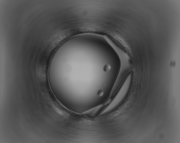 X0000091530489200708241715