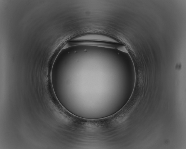 X0000091530490200708241715