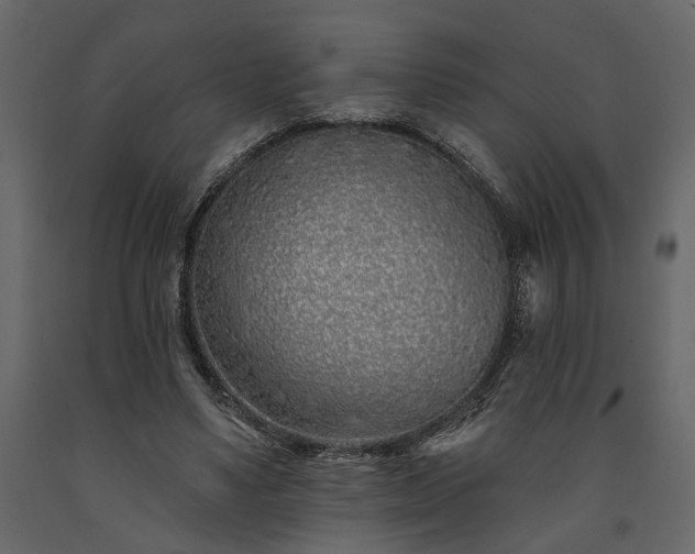 X0000091530491200708241715