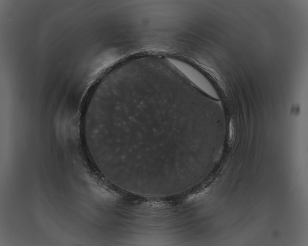 X0000091530492200708241715