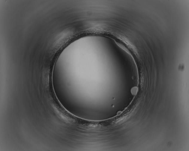 X0000091530493200708241715