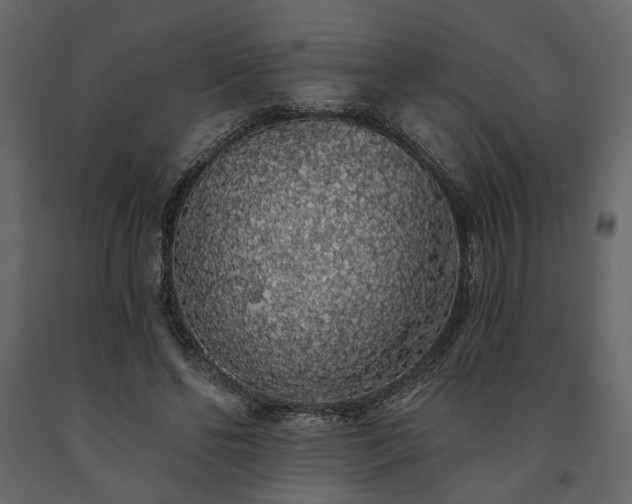 X0000091530494200708241715