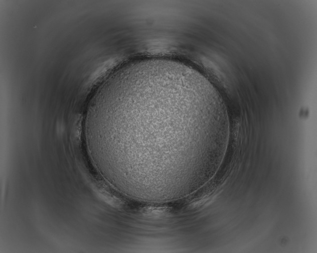 X0000091530495200708241715