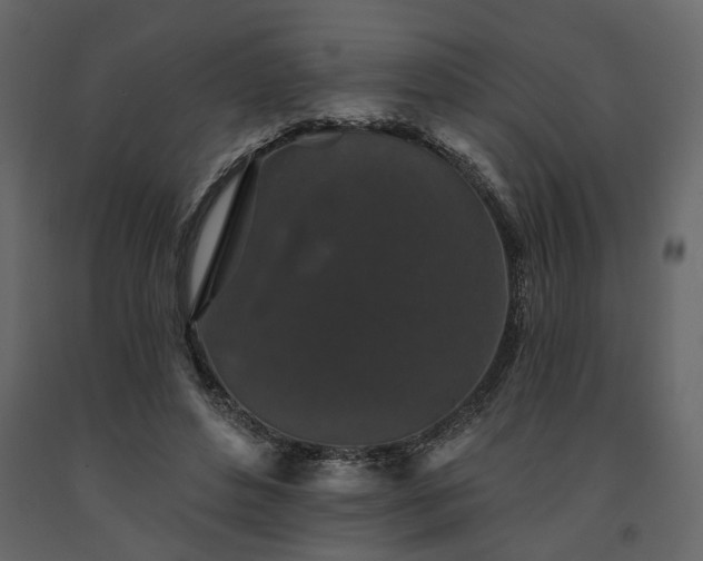 X0000091530496200708241715