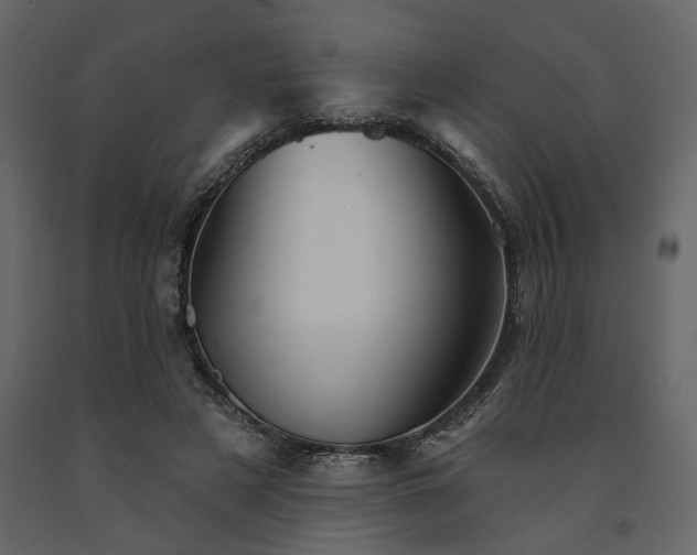 X0000091530497200708241715