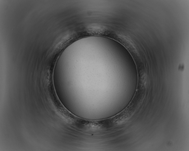 X0000091530498200708241715