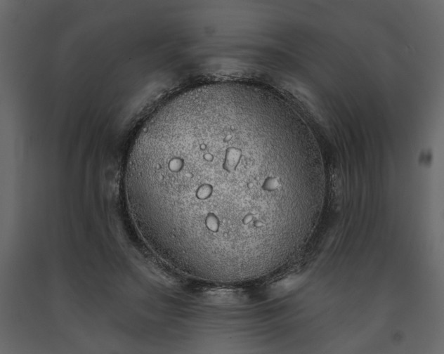 X0000091530499200708241715