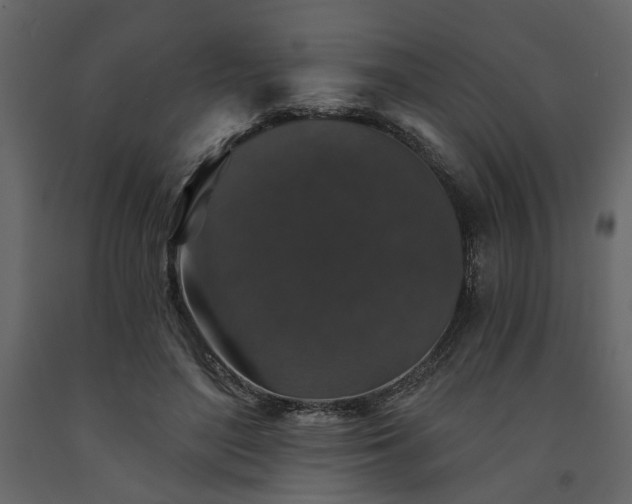 X0000091530500200708241715