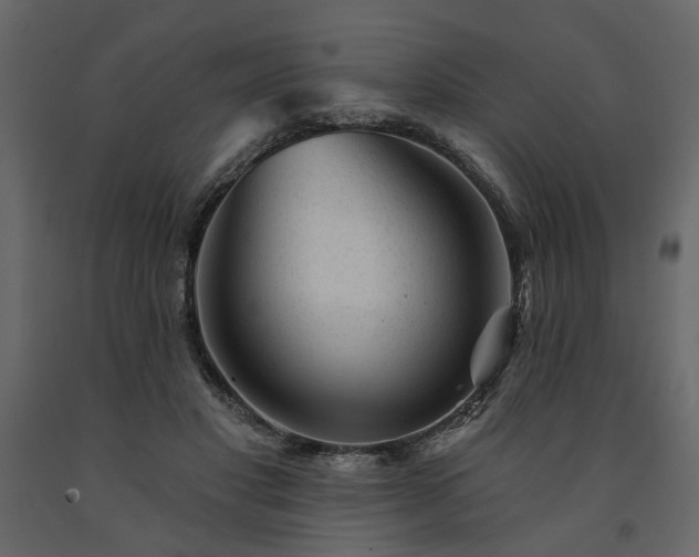 X0000091530501200708241715