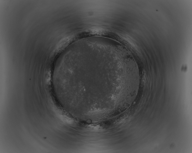 X0000091530502200708241715
