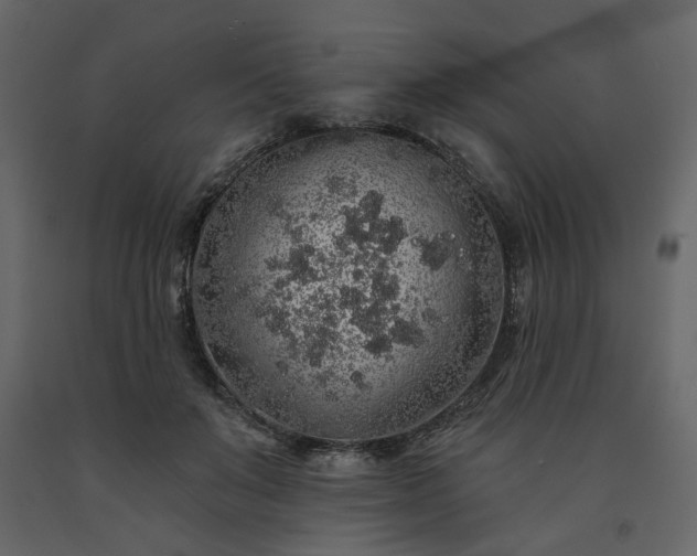 X0000091530503200708241715