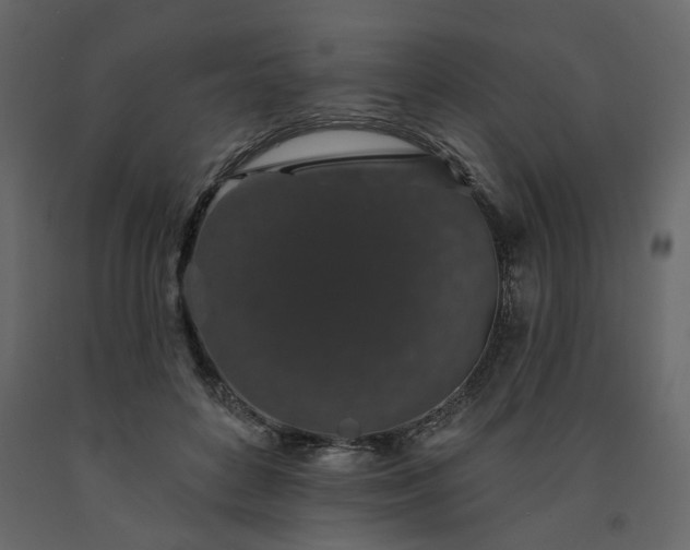 X0000091530504200708241715