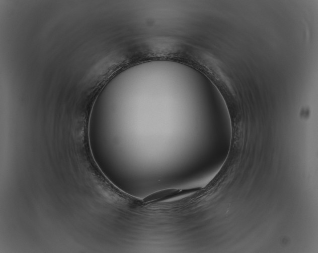 X0000091530505200708241715