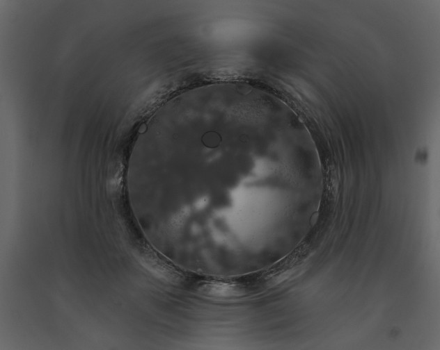 X0000091530507200708241715
