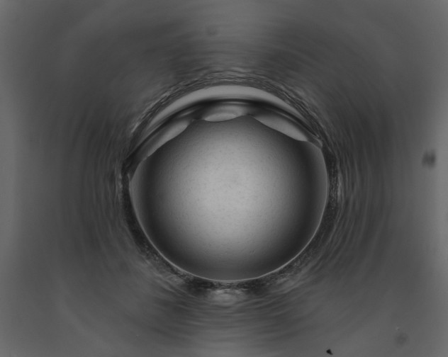 X0000091530508200708241715