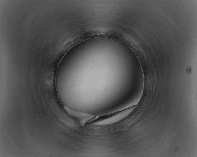 X0000091530509200708241714