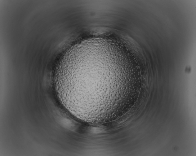 X0000091530510200708241714