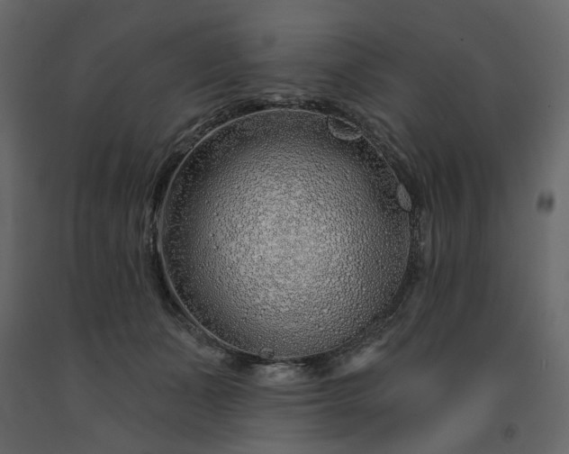 X0000091530511200708241714