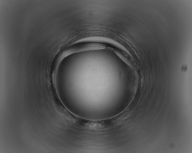 X0000091530512200708241714