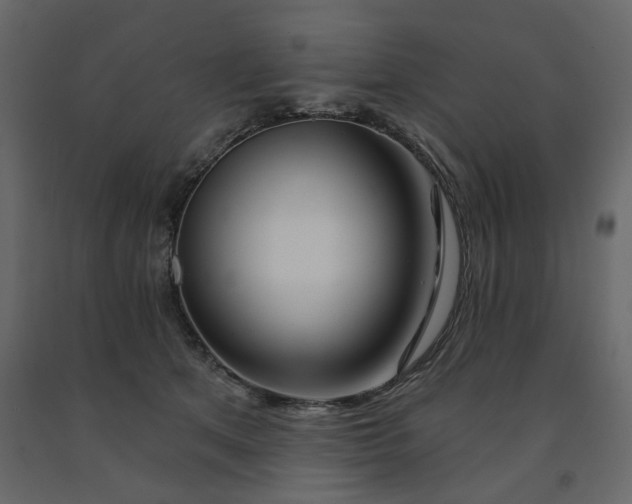 X0000091530513200708241714