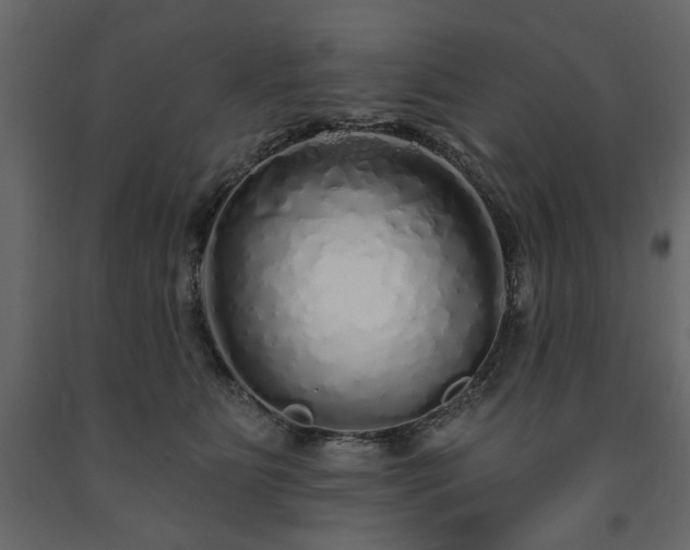 X0000091530515200708241714