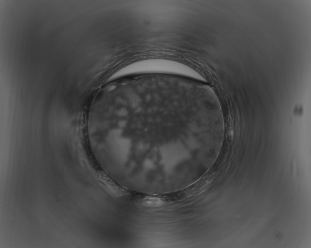 X0000091530519200708241714