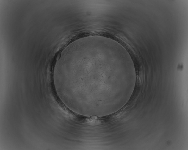 X0000091530520200708241714