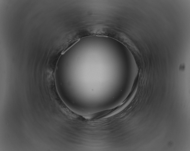 X0000091530521200708241714