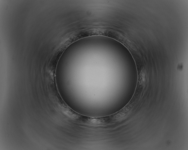 X0000091530522200708241714