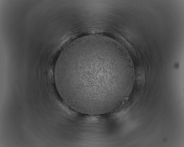 X0000091530523200708241714