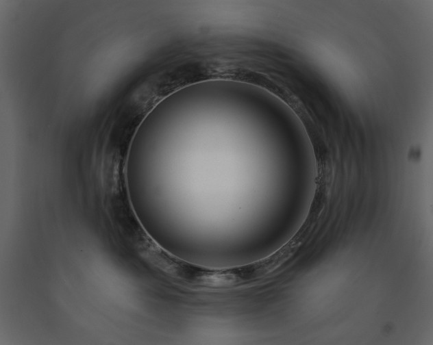 X0000091530525200708241714