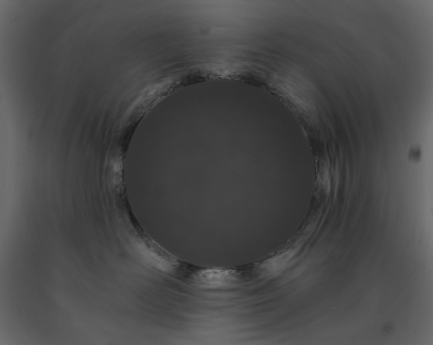 X0000091530526200708241714