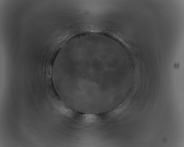 X0000091530528200708241714