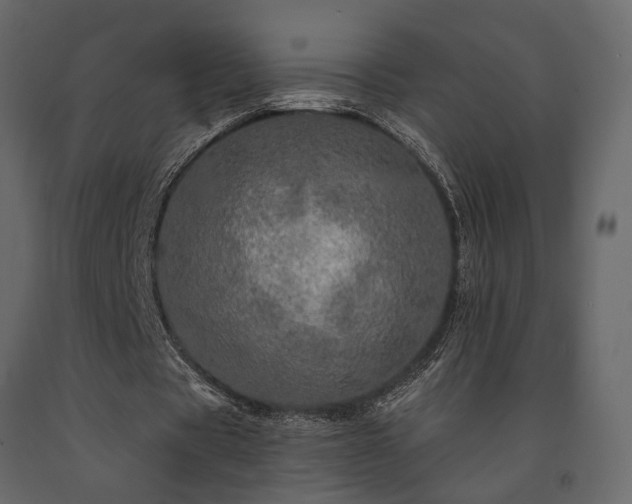 X0000091530529200708241714