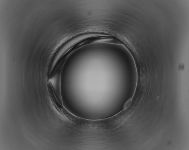 X0000091530530200708241714