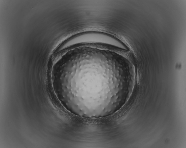X0000091530531200708241714