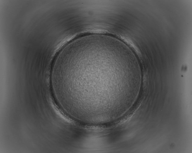 X0000091530533200708241714