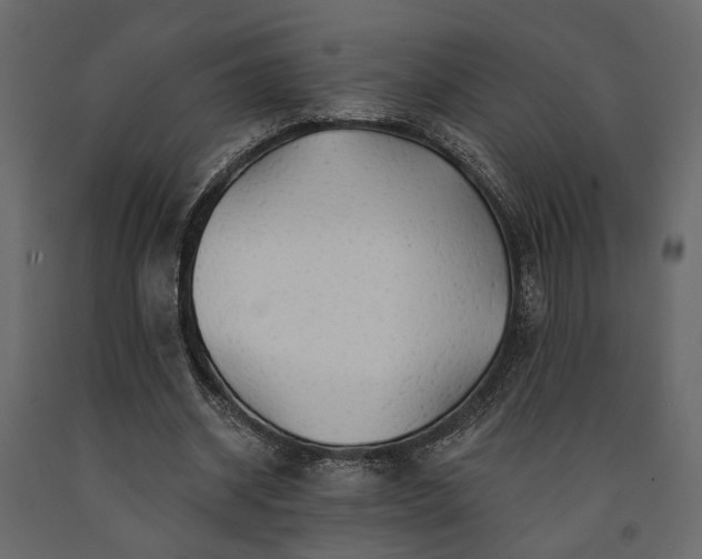 X0000091530534200708241714